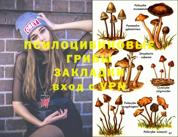 эйфоретик Белоозёрский