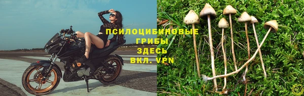 ешки Белокуриха