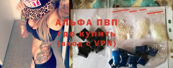 ешки Белокуриха
