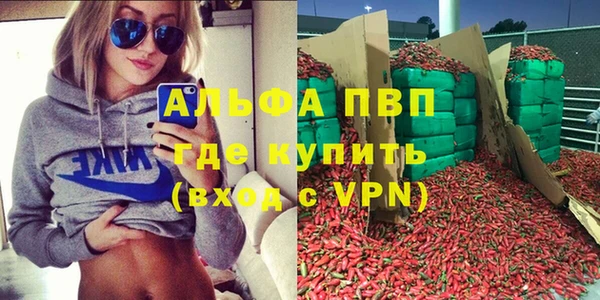 твердый Бородино