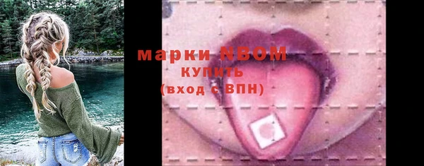 твердый Бородино